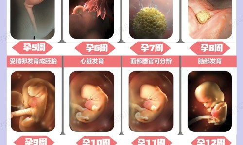 梅毒做透析可以转阴吗-梅毒病人做血透的花费是多少,中国梅毒病人做血透的花费网站
