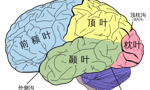 梅毒病人住院能住普通房间吗-梅毒做透析可以转阴吗-梅毒病人做血透的花费是多少,中国梅毒病人做血透的花费网站