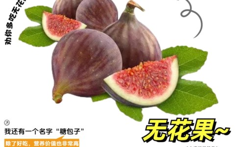 梅毒患者透析需要一人一机吗-梅毒做透析可以转阴吗-梅毒病人做血透的花费是多少,中国梅毒病人做血透的花费网站